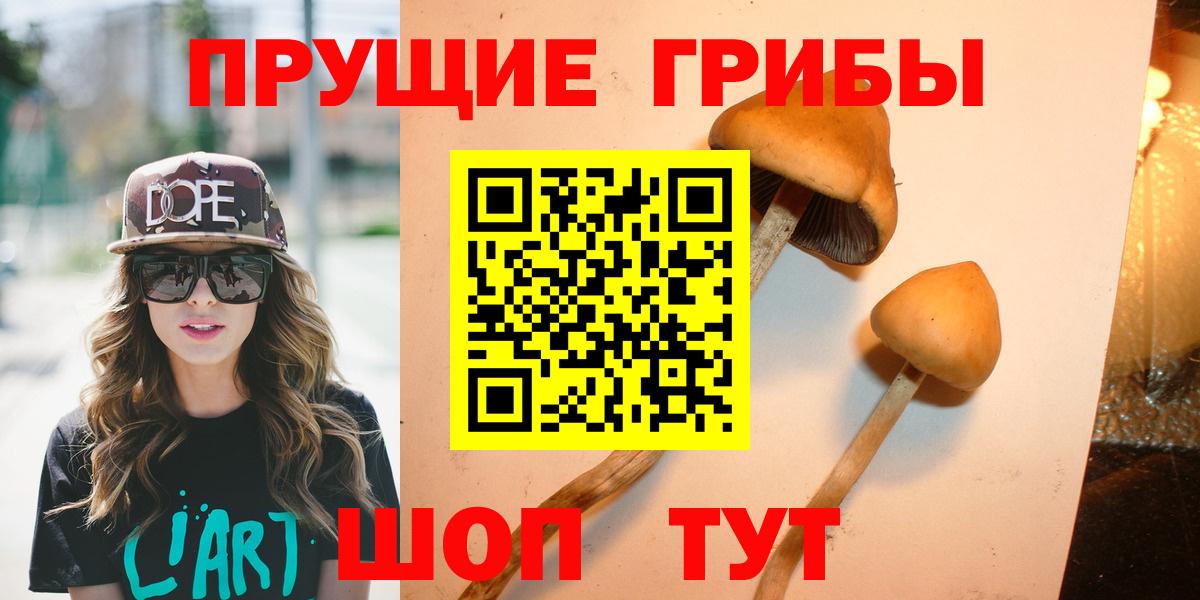 Псилоцибиновые грибы мухоморы  Вход с VPN  Псилоцибиновые грибы прущие грибы  Архангельск 